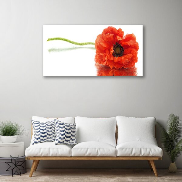 Obraz canvas Naturalny Bukiet Botaniczny