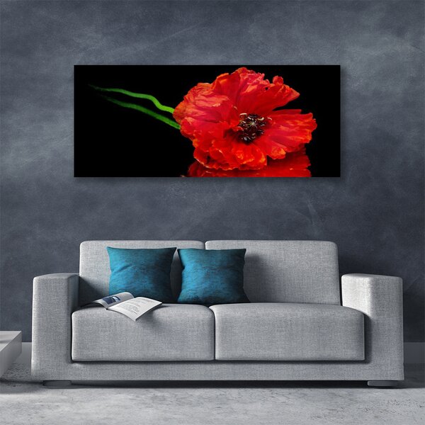 Obraz canvas Samotny Mak w Polu