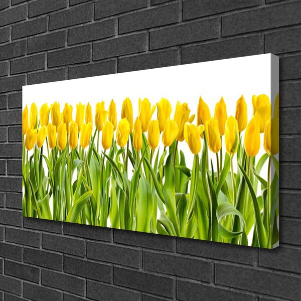 Obraz canvas Tulipany w Porannym Słońcu