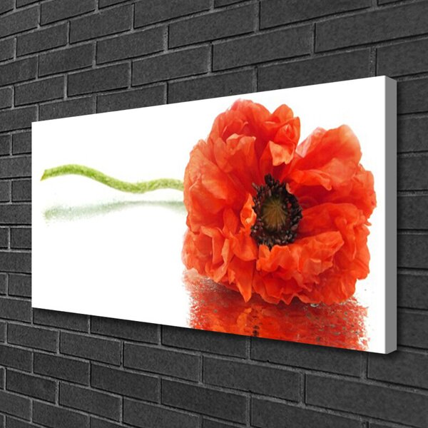 Obraz canvas Naturalny Bukiet Botaniczny