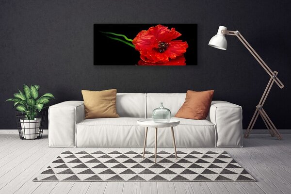 Obraz canvas Samotny Mak w Polu