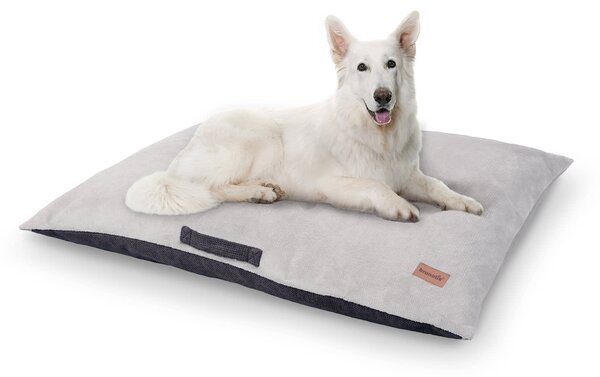 Brunolie Henry, legowisko dla psa, do prania w pralce, ortopedyczne, antypoślizgowe, oddychające, pianka z pamięcią kształtu, rozmiar XL (120 × 10 × 80 cm)