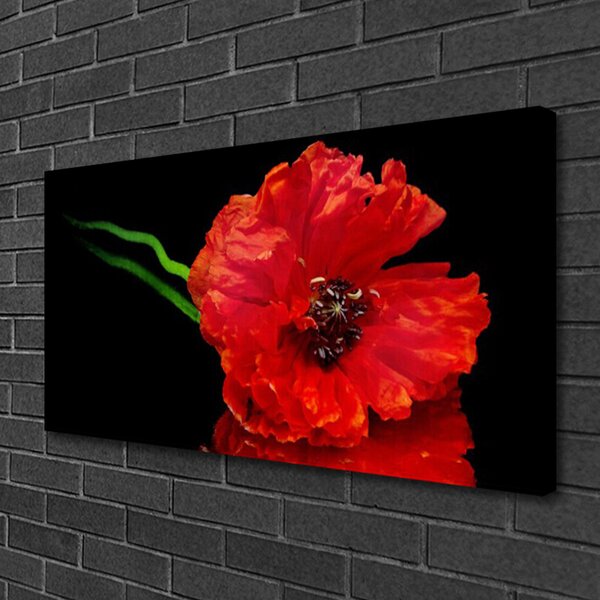 Obraz canvas Samotny Mak w Polu