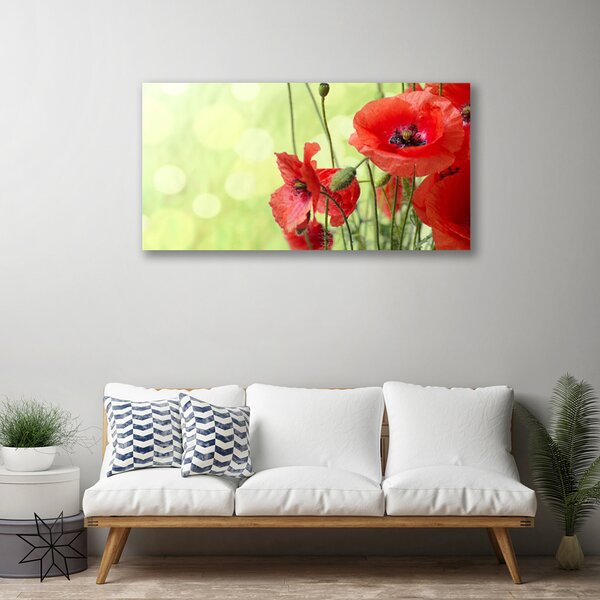 Obraz canvas Pole Czerwonych Maków