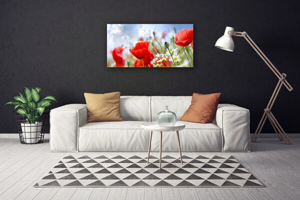 Obraz canvas Maki i Stokrotki na Łące