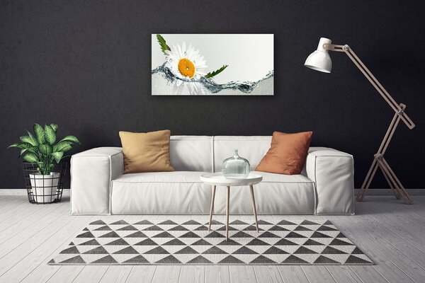 Obraz canvas Biała Stokrotka na Lustrze Wody