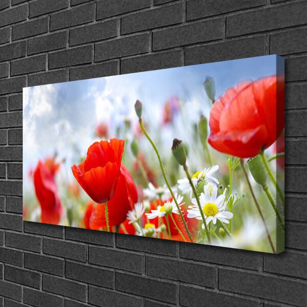 Obraz canvas Maki i Stokrotki na Łące