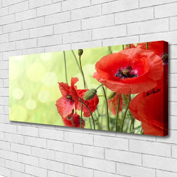 Obraz canvas Pole Czerwonych Maków