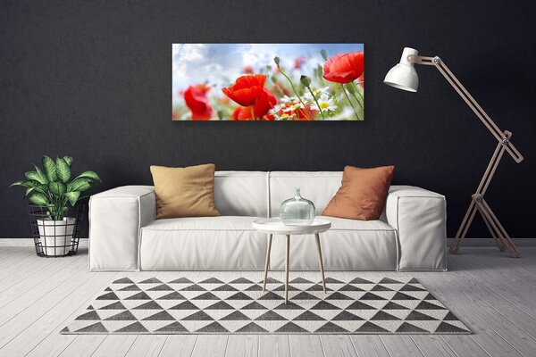 Obraz canvas Maki i Stokrotki na Łące