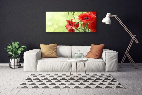 Obraz canvas Pole Czerwonych Maków