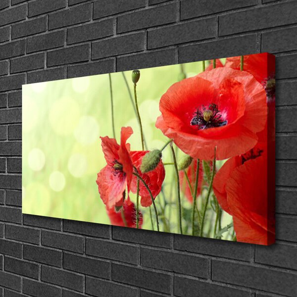 Obraz canvas Pole Czerwonych Maków