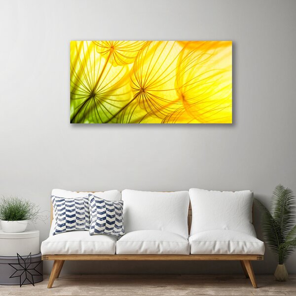 Obraz canvas Puszyste Kule Dmuchawców