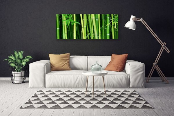 Obraz canvas Tajemniczy Las Bambusowy