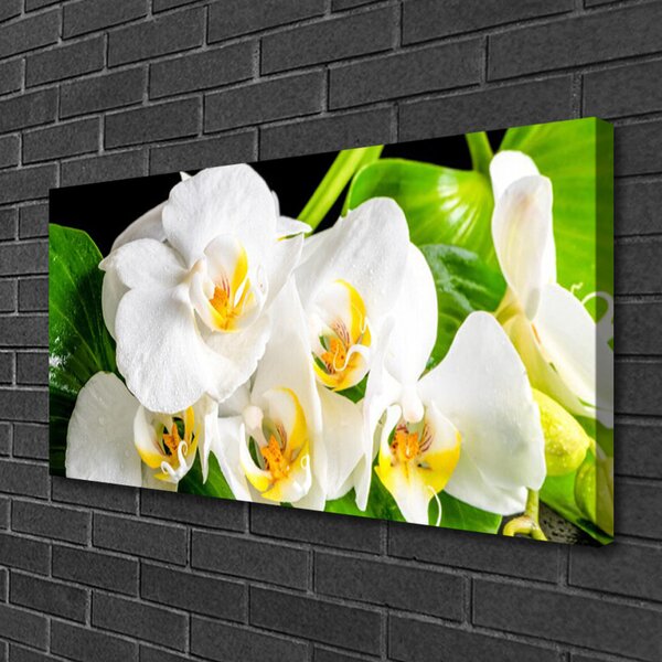 Obraz canvas Królewska Orchidea w Rozkwicie