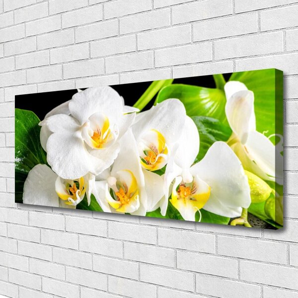 Obraz canvas Królewska Orchidea w Rozkwicie