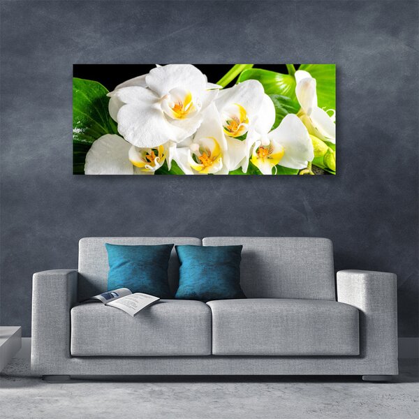 Obraz canvas Królewska Orchidea w Rozkwicie