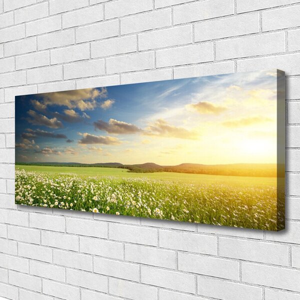 Obraz canvas Barwna Panorama Polnej Łąki