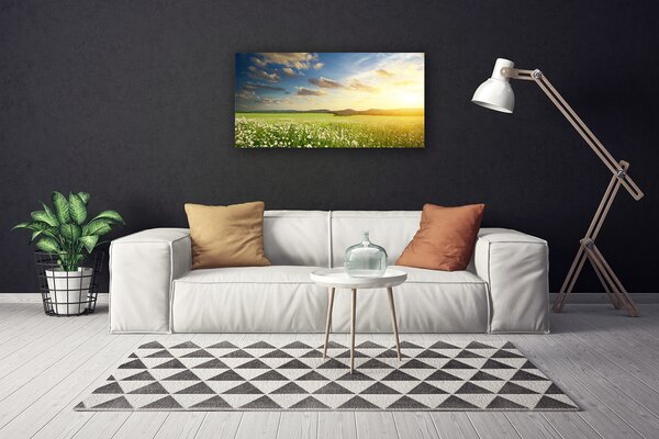 Obraz canvas Barwna Panorama Polnej Łąki