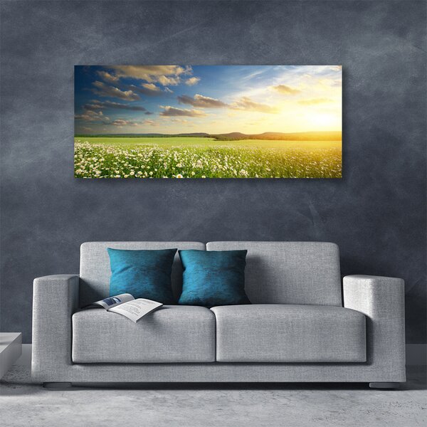 Obraz canvas Barwna Panorama Polnej Łąki