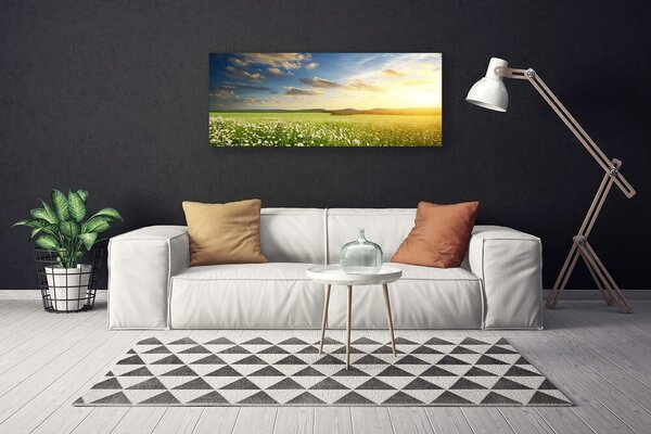 Obraz canvas Barwna Panorama Polnej Łąki