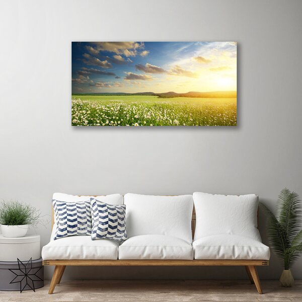 Obraz canvas Barwna Panorama Polnej Łąki