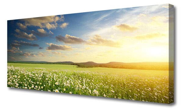 Obraz canvas Barwna Panorama Polnej Łąki