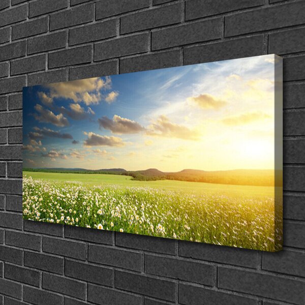 Obraz canvas Barwna Panorama Polnej Łąki