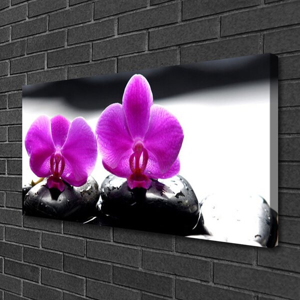 Obraz canvas Szlachetny Kwiat Orchidei