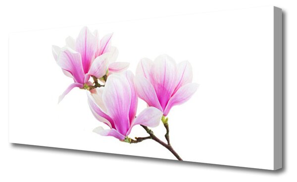 Obraz canvas Rozkwitająca Flora Botaniczna