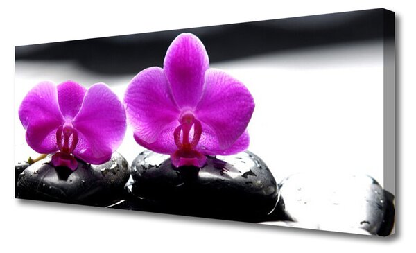 Obraz canvas Szlachetny Kwiat Orchidei