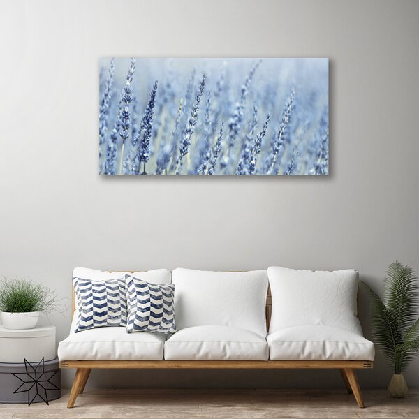 Obraz canvas Złote Kłosy na Łące