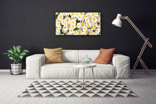 Obraz canvas Białe Stokrotki w Trawie