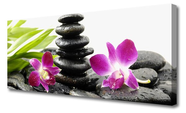 Obraz canvas na ścianę Równowaga: Orchidea i Kamienie Zen