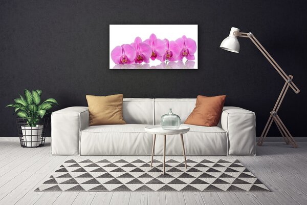 Obraz canvas Różowa Orchidea w Zbliżeniu