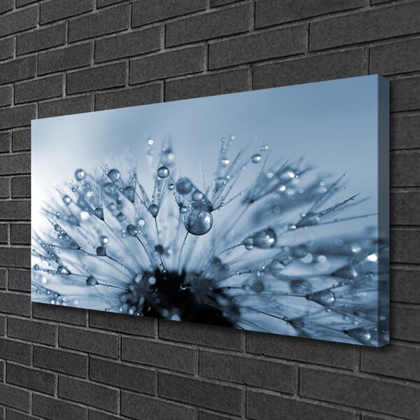 Obraz canvas Dmuchawiec w Porannej Rosie