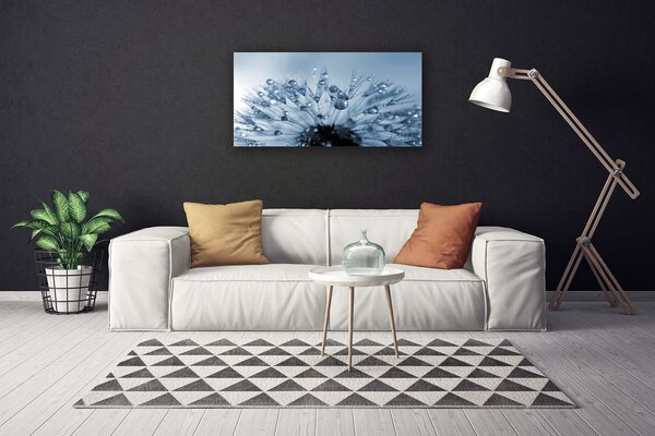 Obraz canvas Dmuchawiec w Porannej Rosie