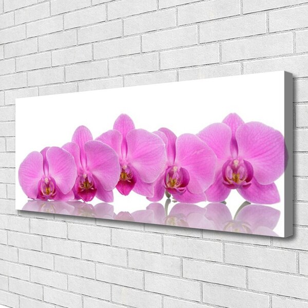 Obraz canvas Różowa Orchidea w Zbliżeniu