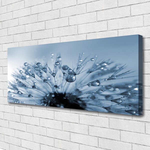 Obraz canvas Dmuchawiec w Porannej Rosie