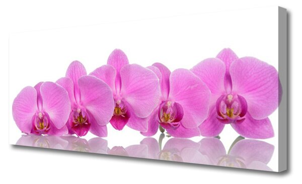 Obraz canvas Różowa Orchidea w Zbliżeniu