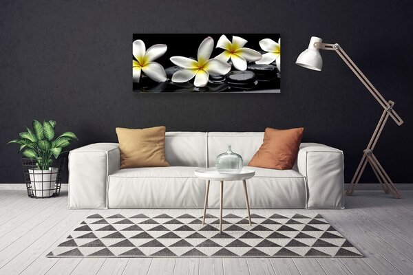 Obraz canvas Egzotyczny Kwiat Plumerii