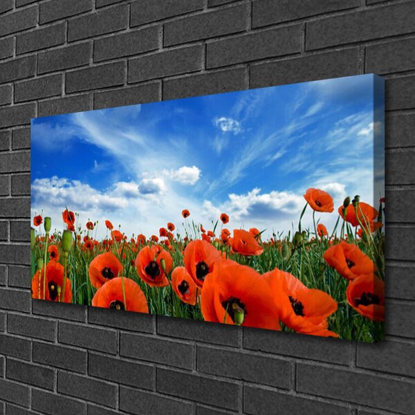 Obraz canvas Czerwone Maki w Blasku Słońca