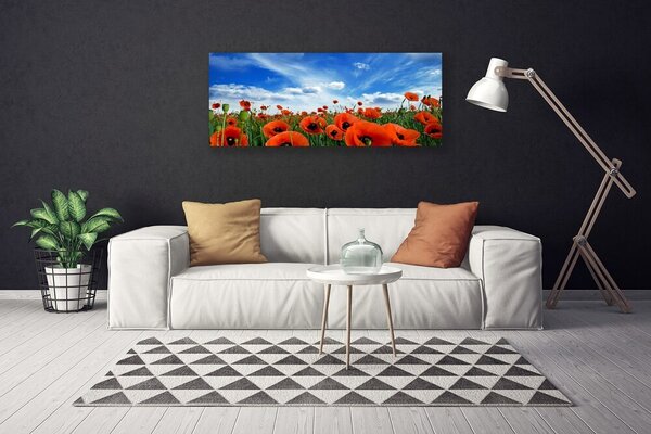 Obraz canvas Czerwone Maki w Blasku Słońca