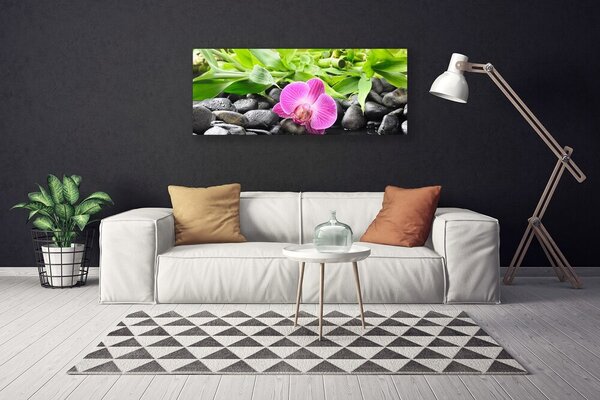 Obraz canvas Wyrafinowana Orchidea Doniczkowa