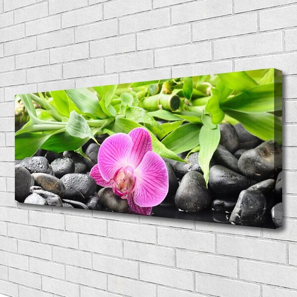 Obraz canvas Wyrafinowana Orchidea Doniczkowa