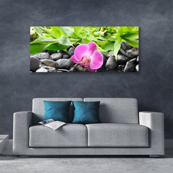 Obraz canvas Wyrafinowana Orchidea Doniczkowa