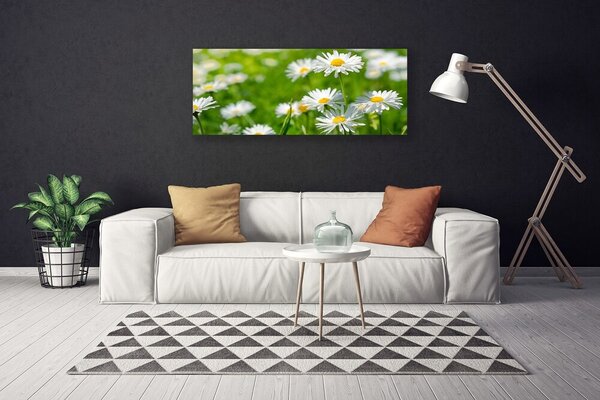 Obraz canvas Skromność Polnej Stokrotki