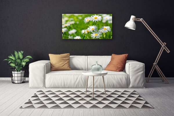 Obraz canvas Skromność Polnej Stokrotki