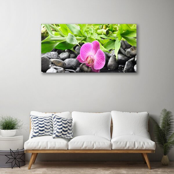 Obraz canvas Wyrafinowana Orchidea Doniczkowa