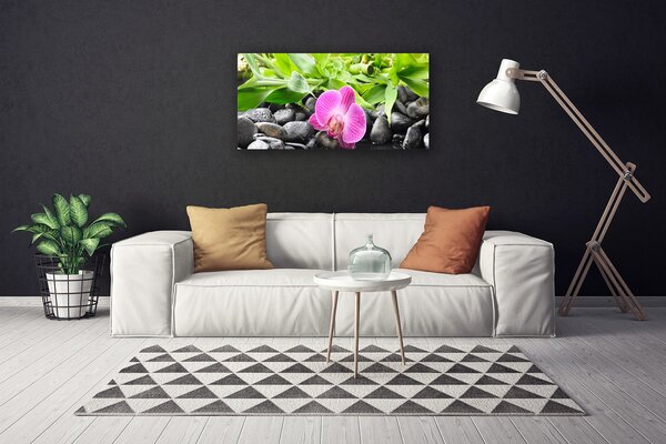 Obraz canvas Wyrafinowana Orchidea Doniczkowa