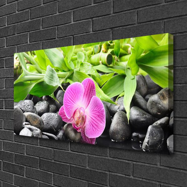 Obraz canvas Wyrafinowana Orchidea Doniczkowa